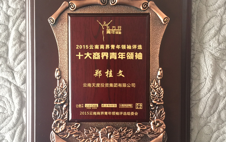 在“互联网大时代”的背景下，bc贷作为本土很大和很有名的互联网服务企业，为近万家传统企业转型互联网+提供了服务和帮助，获此奖项后，bc贷将再接再厉，创造更高的社会价值
